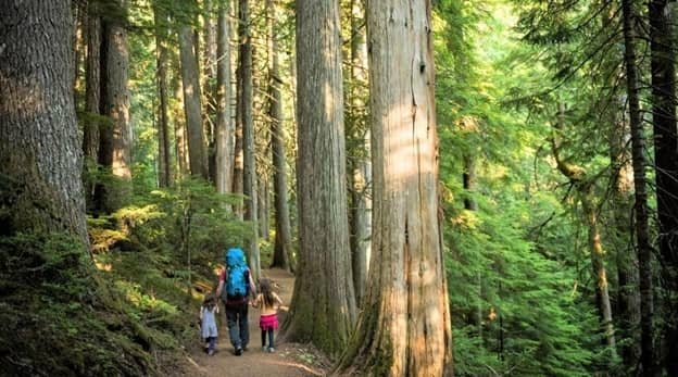 Hiking With Kids